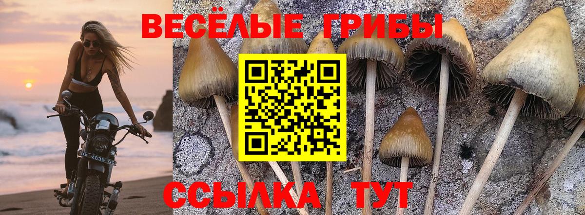  КОКАИН Черняховск