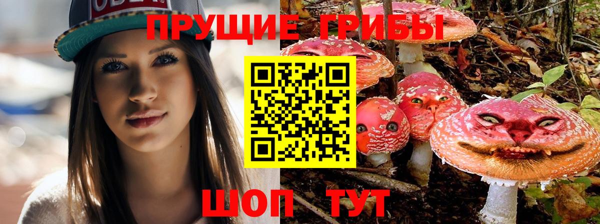 Псилоцибиновые грибы мухоморы Черняховск